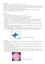[성인간호학실습] 방광암 간호과정보고서-5