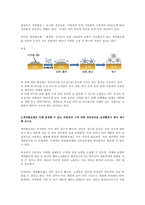 계면활성제의 개념과 기능, 특징을 조사하고, 계면활성제로 인해 발생할 수 있는 위험성과 그에 대한 대응방안을 실생활에서 찾아 제시해 보시오-2