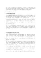 한국 사회복지정책의 발전에 대한 복지국가 발달이론의 적용-2