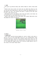 [레포트] 초록색의 생리적 심리적 특성과 치유효과-3