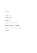 미혼모 연구보고서 (미혼모 특징과 해외정책사례연구 및 우리나라 미혼모 관련 정책방안 4가지 제시 및 느낀점)-2