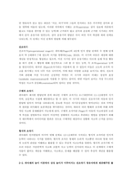  인지발달론적 이론은 놀이가 지적 성장을 촉진한다고 주장한다-2