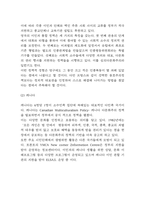 다문화가정 증가배경과 우리나라 다문화가정 정책사례와 문제점 분석 / 해외선진국들의 다문화정책 사례연구 및 다문화가정 문제해결위한 4가지 정책방안 제언-4