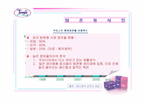 [광고분석]여성생리대 `템포`에 관한 분석 및 광고시안-6