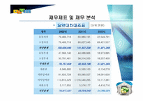 [경영전략]다음(Daum) 경영분석.-12