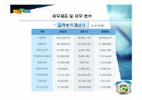 [경영전략]다음(Daum) 경영분석.-13