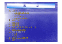 [경영전략]해충박멸서비스 `세스코`의 마케팅전략분석 및 대안-2