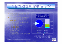 [경영전략]해충박멸서비스 `세스코`의 마케팅전략분석 및 대안-3
