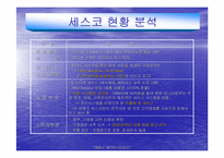[경영전략]해충박멸서비스 `세스코`의 마케팅전략분석 및 대안-8