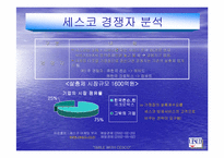 [경영전략]해충박멸서비스 `세스코`의 마케팅전략분석 및 대안-10