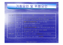 [경영전략]해충박멸서비스 `세스코`의 마케팅전략분석 및 대안-11