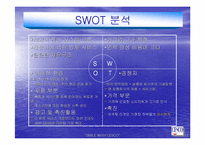 [경영전략]해충박멸서비스 `세스코`의 마케팅전략분석 및 대안-12