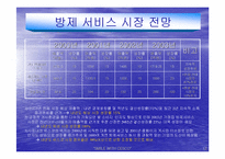 [경영전략]해충박멸서비스 `세스코`의 마케팅전략분석 및 대안-13