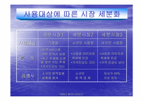 [경영전략]해충박멸서비스 `세스코`의 마케팅전략분석 및 대안-17