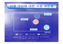 [경영전략]해충박멸서비스 `세스코`의 마케팅전략분석 및 대안-18