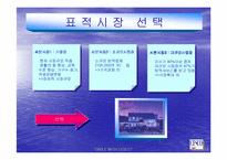 [경영전략]해충박멸서비스 `세스코`의 마케팅전략분석 및 대안-19