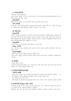 [온라인마케팅]인터넷 마케팅-다음(Daum)사이트 분석-3
