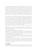 [온라인마케팅]인터넷 마케팅-다음(Daum)사이트 분석-8
