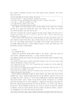 [졸업][광고언어] 광고언어의 연구-10