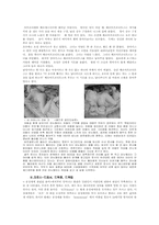 [성과사회]동성애, 트랜스젠더, 양성구유, 성전환에 대하여-4