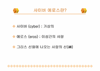 [컴퓨터와성]사이버에로스(CyberEros)에 대하여-2