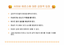 [컴퓨터와성]사이버에로스(CyberEros)에 대하여-7