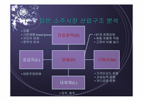 [국제경영]일본시장에서 진로의 차별화전략 분석-4