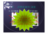 [국제경영]일본시장에서 진로의 차별화전략 분석-10
