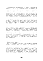 [광고전략분석]월드컵이미지를 이용한 광고의 긍정적인면과 부정적인면-2