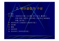 [인터넷비지니스] 네오위즈(세이클럽) 경영분석-12