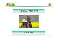 [중소기업경영론] 아침햇살 소비자행동분석-1