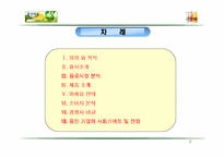 [중소기업경영론] 아침햇살 소비자행동분석-2