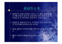 [중소기업경영론] 옹골진(ONG) 성공사례분석-3