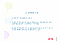 [중소기업경영론] 중소기업의 실패사례 -메디슨의 몰락-17