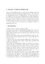 [MIS] EMI Korea SIS(전략정보시스템) 의 문제점 해결방안-6