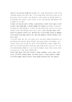 [MIS] 항공사 사우스웨스트 에어라인, 홈디팟, 블루라이트 시스템도입-13