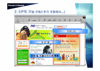 [MIS] P&G 의 EIP 레포트-5