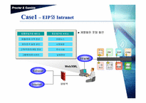 [MIS] P&G 의 EIP 레포트-16