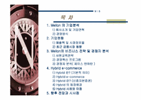 [MIS] MELLON의 기업사례 분석-2