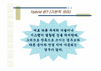 [MIS] MELLON의 기업사례 분석-16