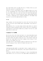 [매스컴사회학] Interactive TV와 소비생활 변화에 관한 고찰-4