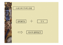스포츠와 TV 레포트-4
