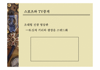 스포츠와 TV 레포트-15