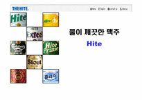 하이트 맥주 기업분석-1