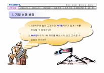 하이트 맥주 기업분석-3