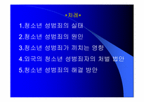 청소년 성범죄 레포트-2