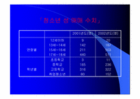 청소년 성범죄 레포트-5