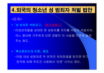 청소년 성범죄 레포트-8