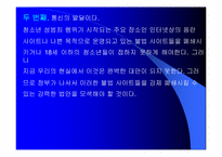 청소년 성범죄 레포트-12