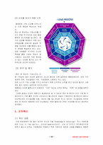 [기업분석]존슨 앤 존슨사의 조직구조-10